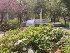 -洛阳市隋唐城遗址植物园