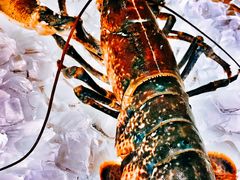 -Le Bistrot de Racine