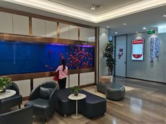 -牙博士口腔品牌连锁(杨浦店)