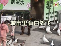 -江燕路万科里