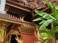 -西双版纳总佛寺