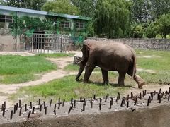 -西安秦岭野生动物园