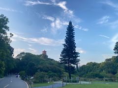 -深圳仙湖植物园