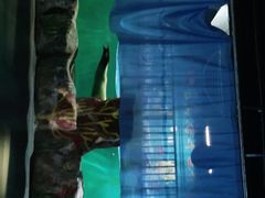 -常州海昌海洋探索馆
