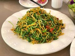 金丝炒豆苗-大眼锅贴饺子(河西店)