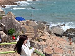 -广东惠东海龟国家级自然保护区