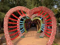 -北海金海湾红树林生态旅游区