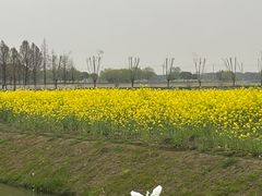 -嘉北郊野公园