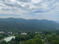 -南山植物园