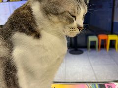 -谜盒子奇幻密室(南屏店)