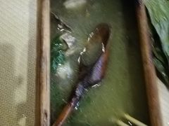 哈尼骨汤杂菜-火咂咂竹筒宴(告庄店)