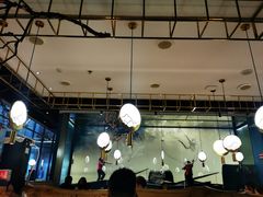 -老板恋上鱼(振华商厦店)
