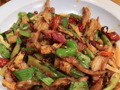 -柴窝堡22号辣子鸡·传承新疆菜