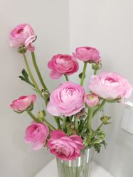 -青苗儿童口腔(长楹天街购物中心)