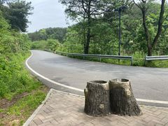 -青龙山国家森林公园