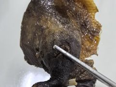 酱板鸭-金丹酱板鸭营业厅(紫缘路店)