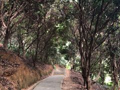 -清溪大王山森林公园