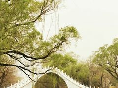 -颐和园