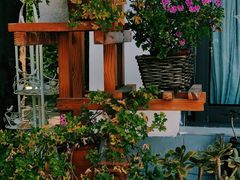 -凤来栖·净庭院·火锅(欧尚店)