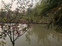 -上海长兴岛郊野公园