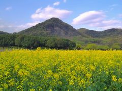 -八卦田遗址公园