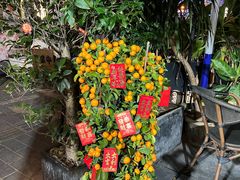 -龙记·香港茶餐厅(海上世界店)