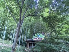-天目湖山水园