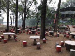 -东方巨龟苑景区