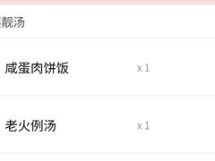 -阿姨靓汤(广外店)