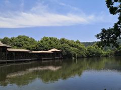 -西湖外事游船(花港观鱼码头)