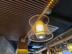 -探窝·竹笙椰子鸡(杨箕店)