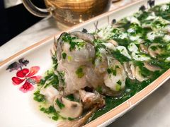 笋壳鱼-蝶园·装修中(BFC外滩金融中心店)