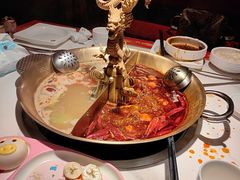 -小龙翻大江文化火锅(宽窄店)