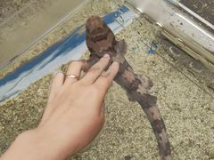 -上海海洋水族馆
