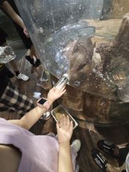 -Zoolung Zoolung动物主题公园(海信广场店)