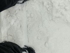 -哈尔滨热雪奇迹