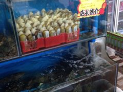 -蚝专家(北滘店)