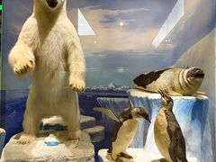 -国家自然博物馆