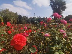 -滨江森林公园-真人CS野战场