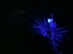 -青山公园萤火虫科普展