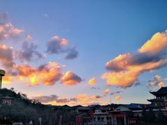-藏味八珍特色火锅