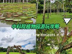 -中国科学院西双版纳热带植物园