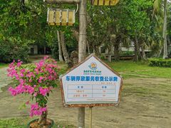 -东郊椰林