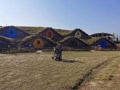 -武汉紫薇都市田园