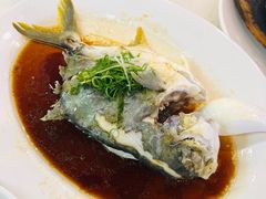 -新金盛·海鲜酒楼(盐田店)
