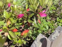 -狼山风景名胜区