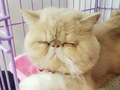 -宠颐生中康贝怡动物医院