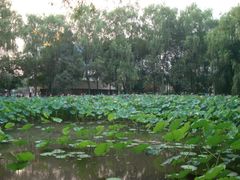 -四川大学(望江校区)