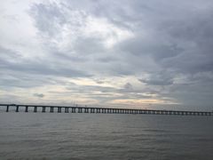 -宝安西湾红树林湿地公园