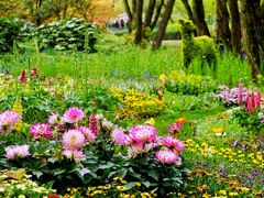 -上海共青森林公园